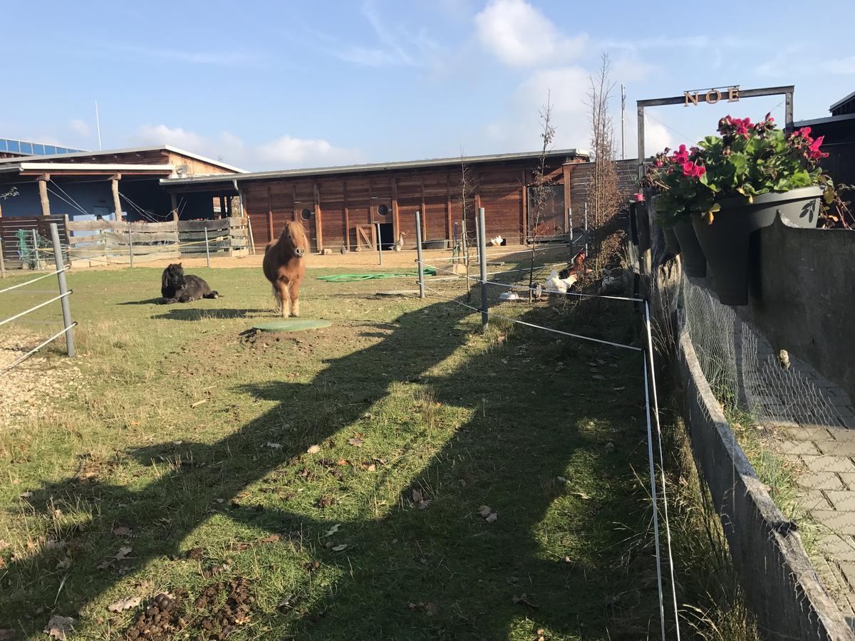 Farma Noe Guest House Brezina  Екстериор снимка