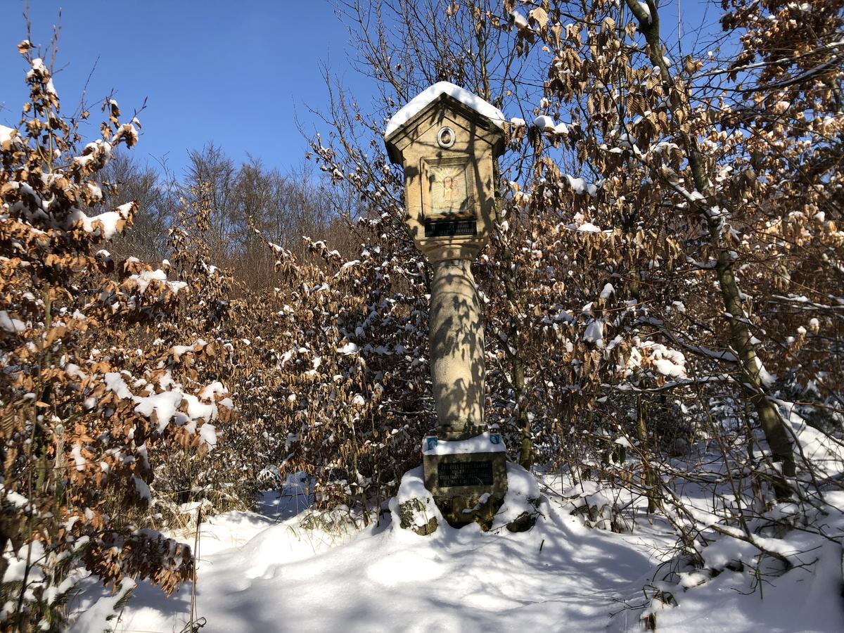 Farma Noe Guest House Brezina  Екстериор снимка